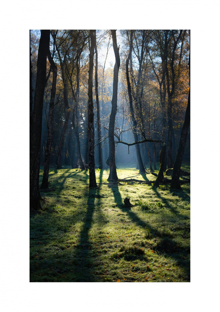 Galerie_15