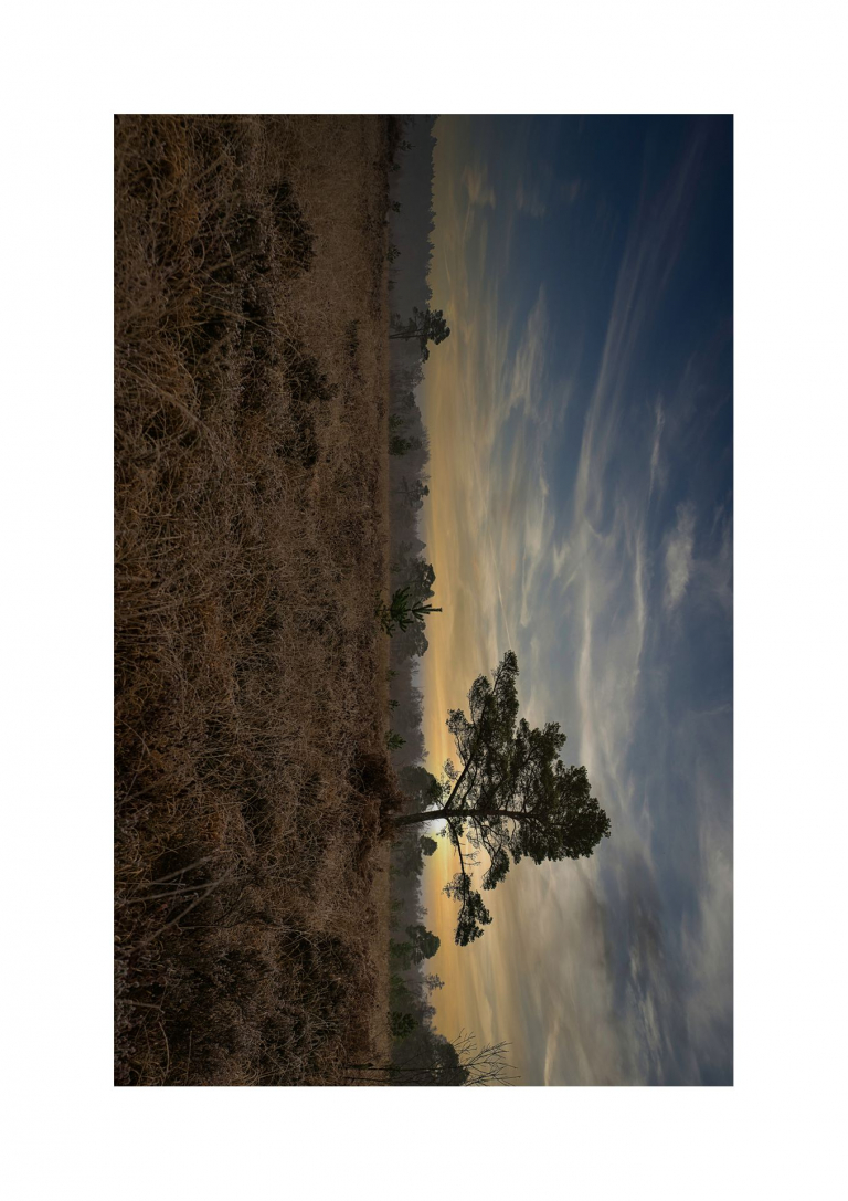 Galerie_16