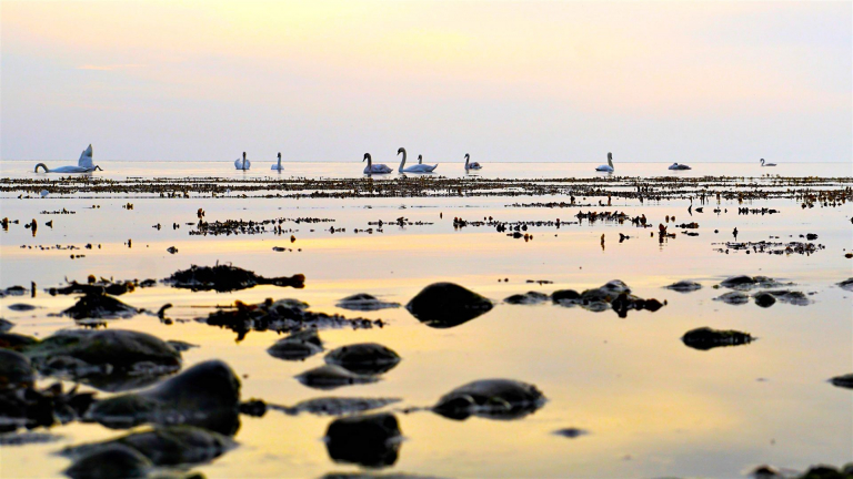 morgenstimmung ostsee