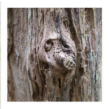 b_gesicht1
