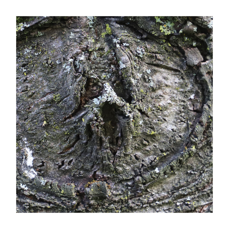 b_gesicht3