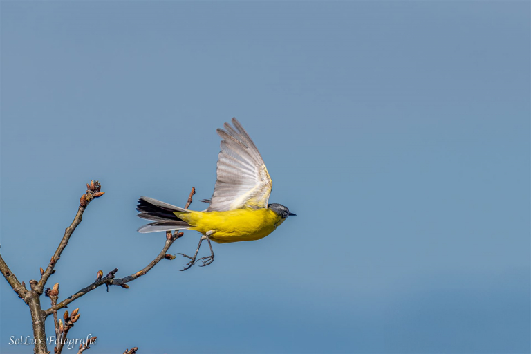A9_03119-2-Bearbeitet