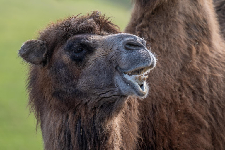 Ein paar Tage an der Ostsee. - Zoo Grömitz
