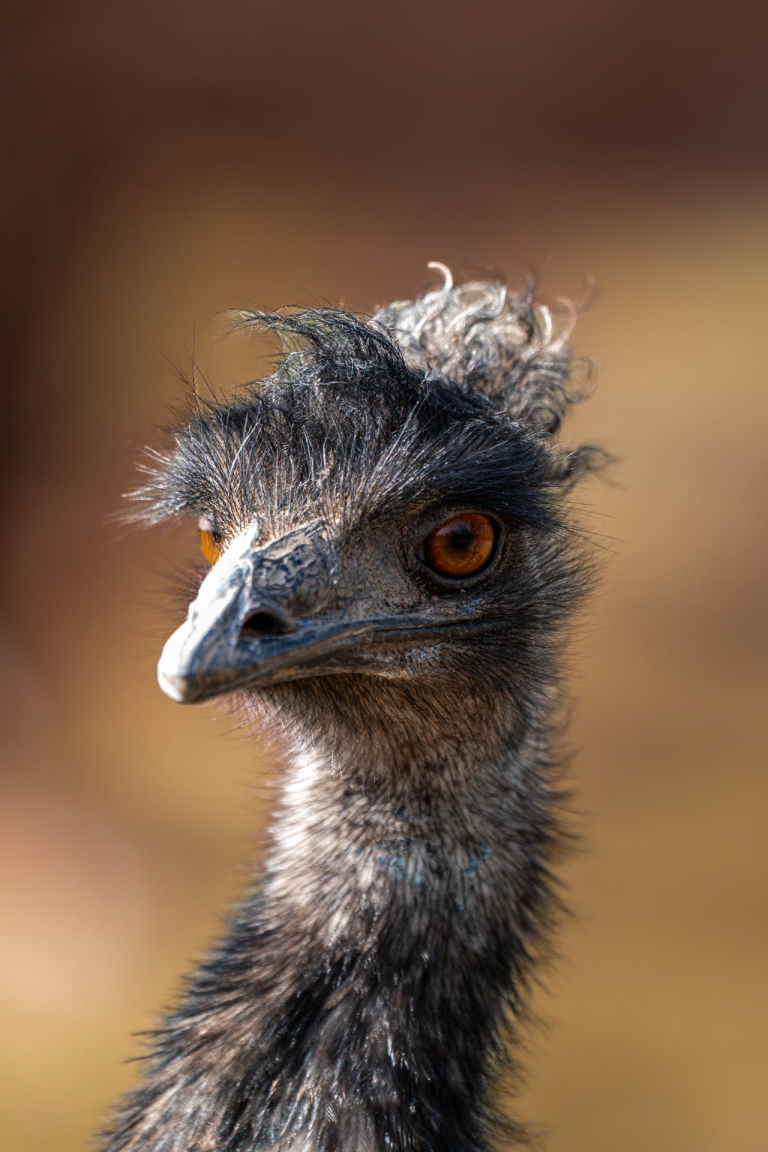 Ein paar Tage an der Ostsee. - Zoo Grömitz