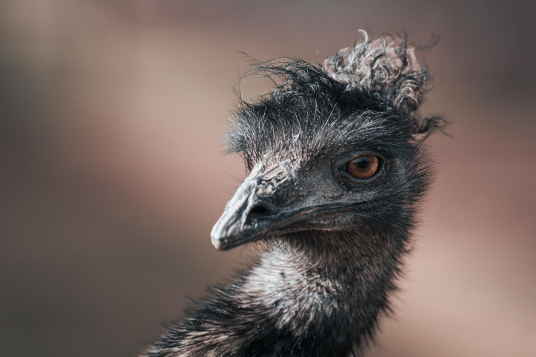 Ein paar Tage an der Ostsee. - Zoo Grömitz