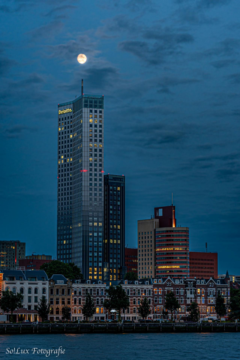 Rotterdam - Zwischen Wilhelm- und Erasmusbrücke