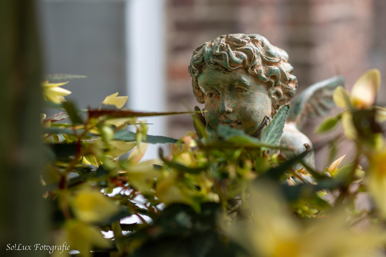 Tagesausflug in die Schlossgärten von Arcen (NL)