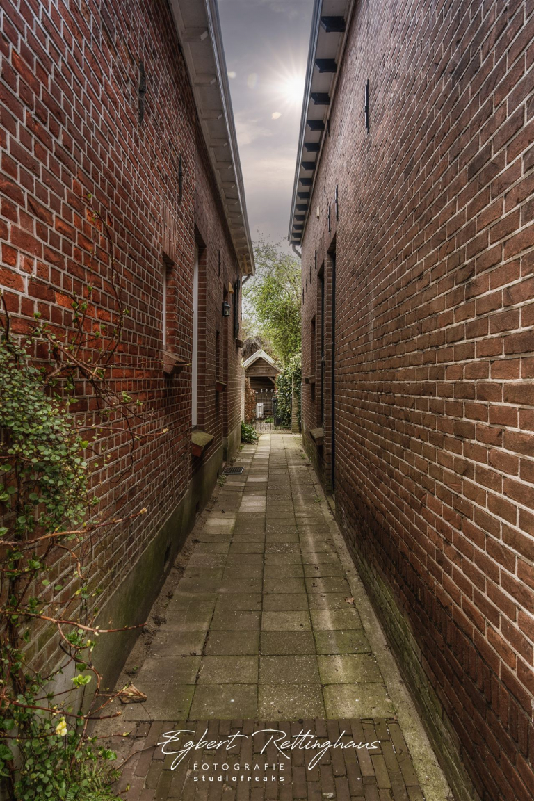 _DSC4750 Kopie
