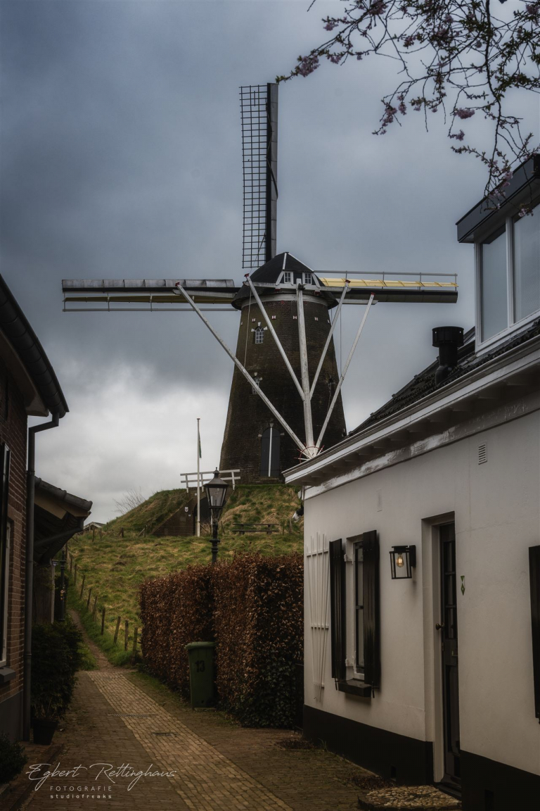 _DSC4762 Kopie