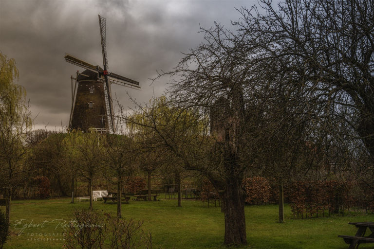 _DSC4771 Kopie