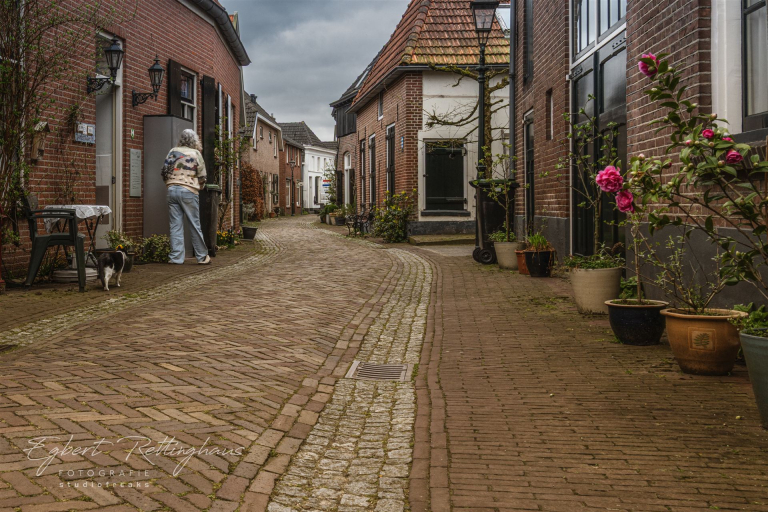 _DSC4775 Kopie