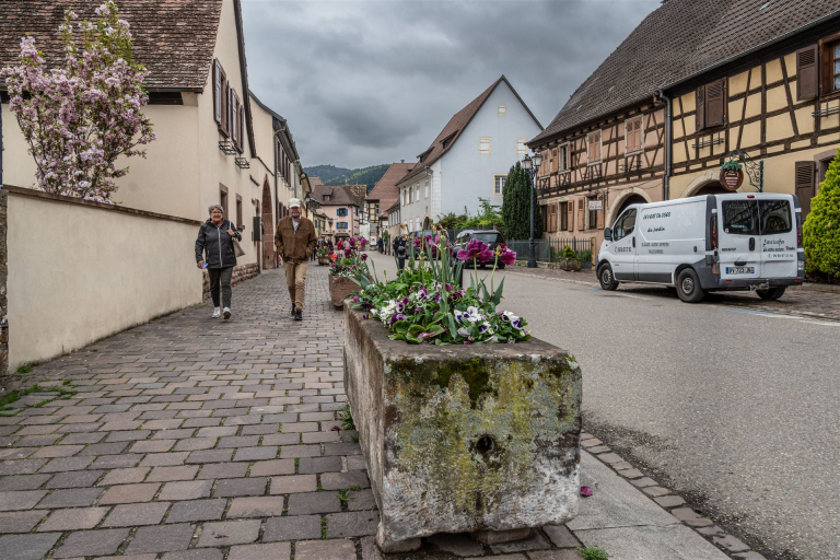 _Z504901 Kopie