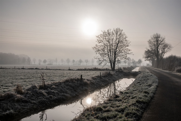 _DSC3219-2 Kopie 2