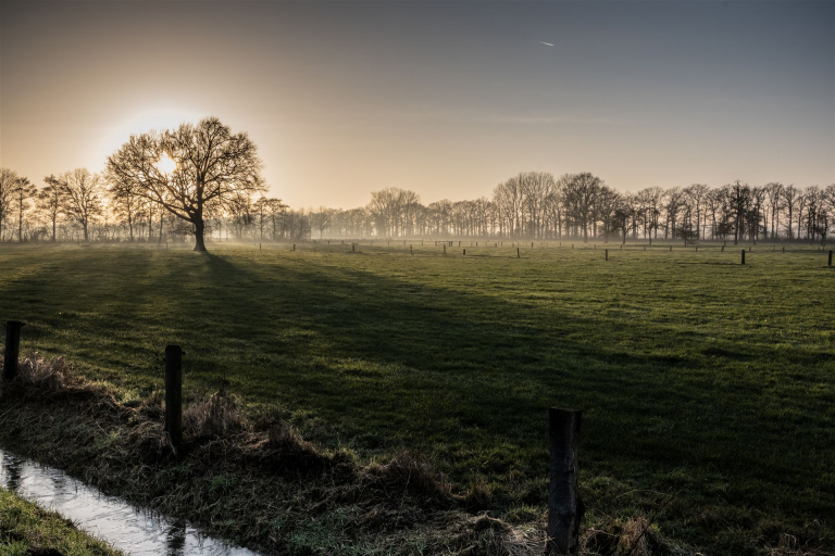_DSC3228-neu Kopie 2