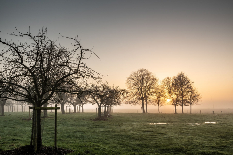 _DSC3250-2 Kopie 2
