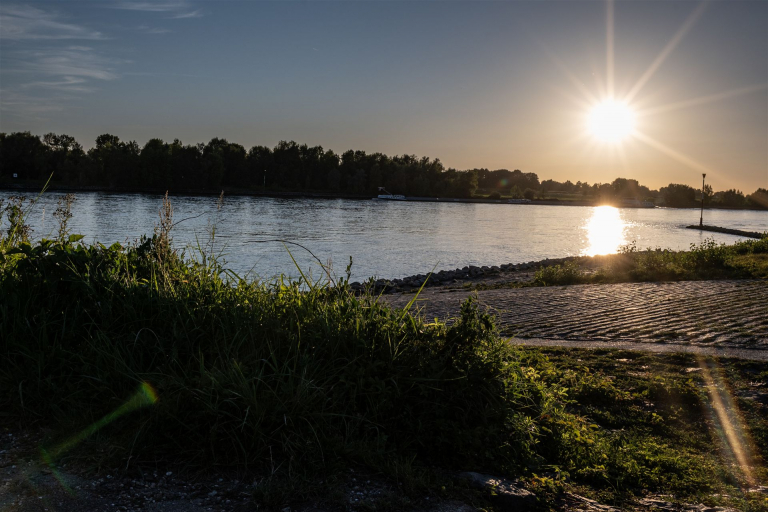 _DSC4547