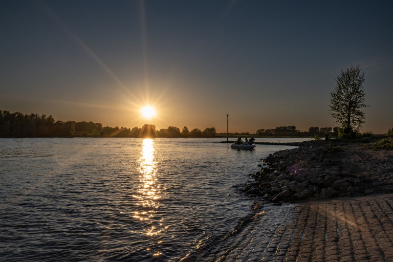 _DSC4557
