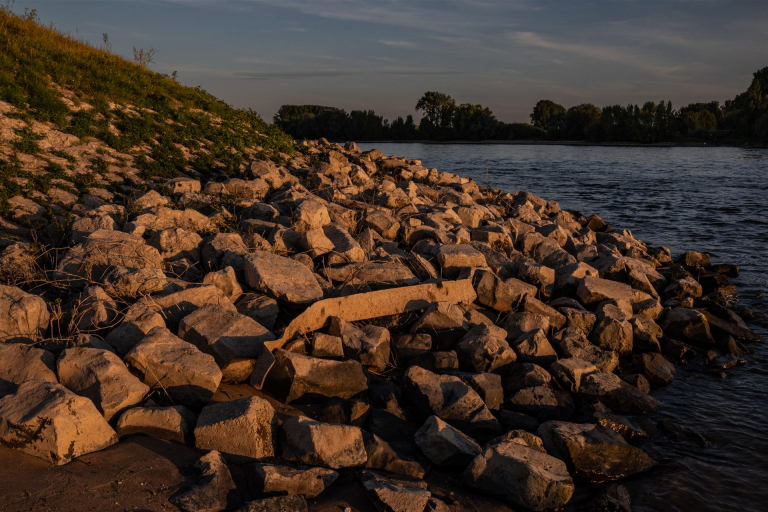 _DSC4560