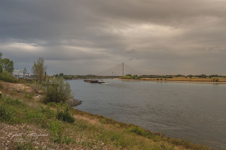 Ein Binnenschiff fährt auf dem Rhein unter einem verhangenen Himmel stromaufwärts. Im Hintergrund erstreckt sich eine markante Schrägseilbrücke weit über den Flusslauf. Das bewachsene Flussufer im Vor