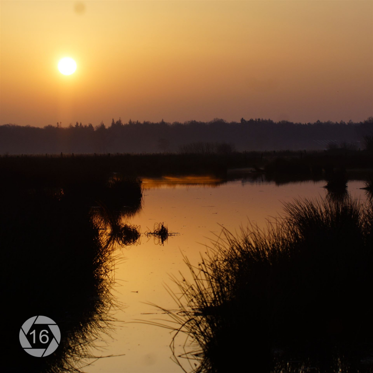 Sonnenaufgang Dingdener Heide Quadrat