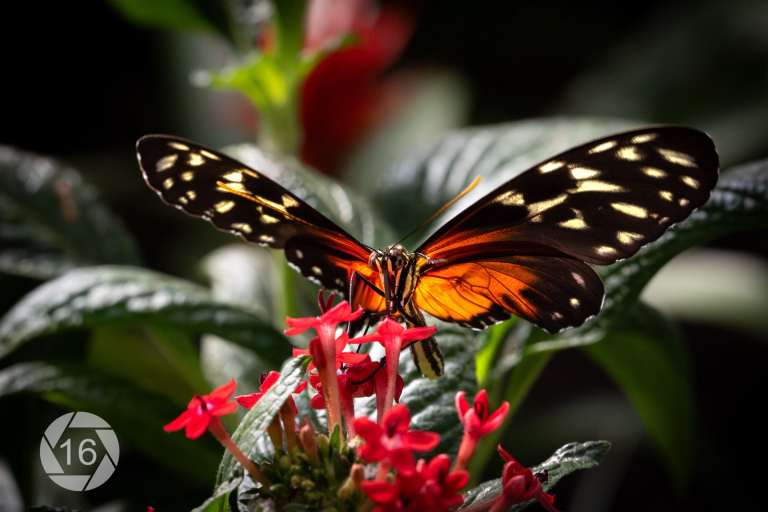 0002Bernd_Maximilianpark
