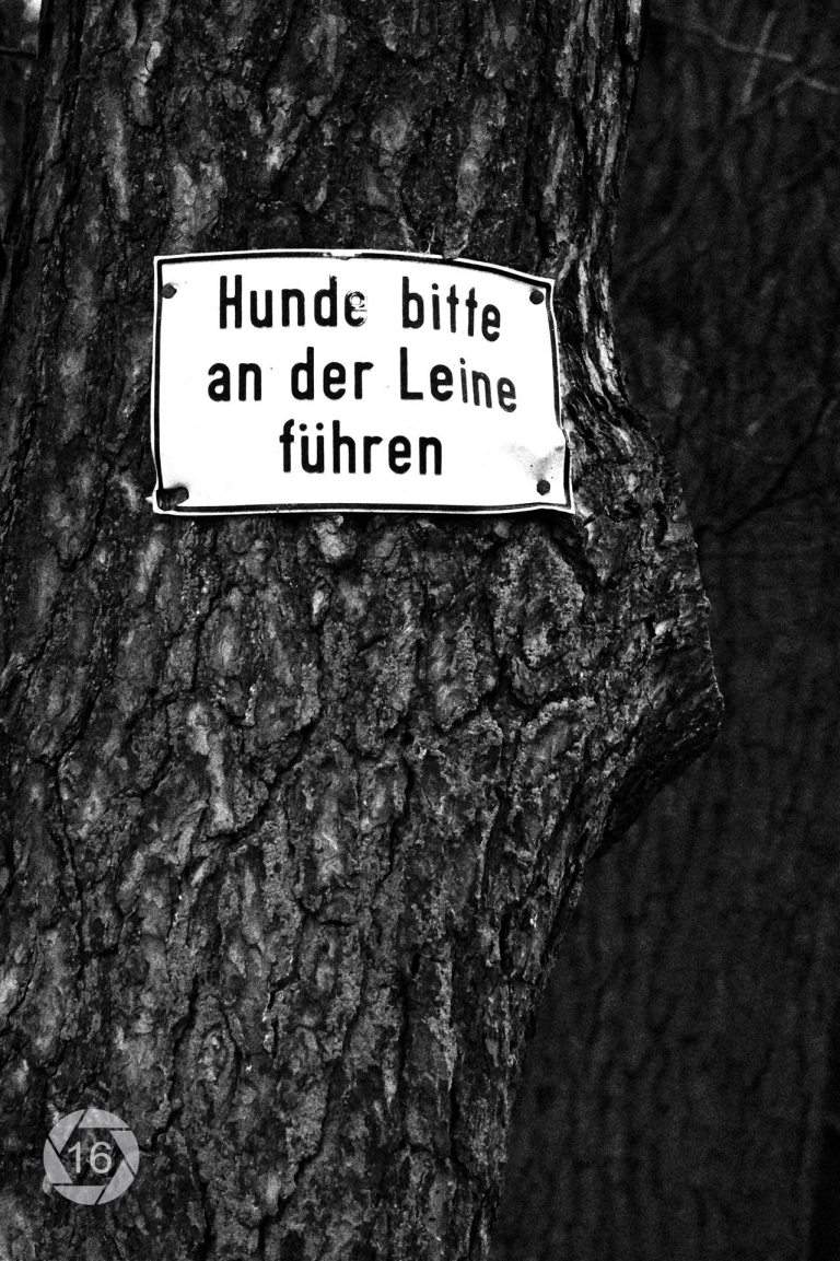 0000Gregor_Zeichen